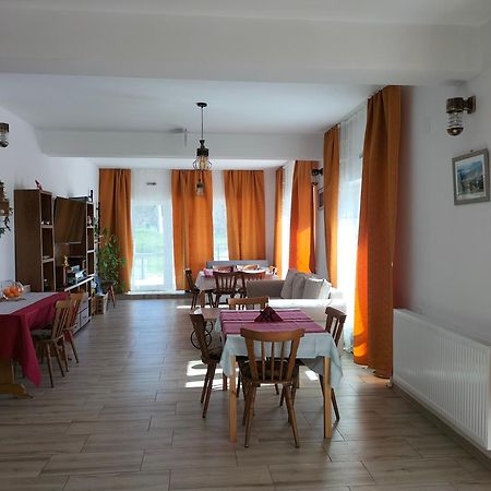 Hotel Conacul Doamnei Nucsoara Extérieur photo