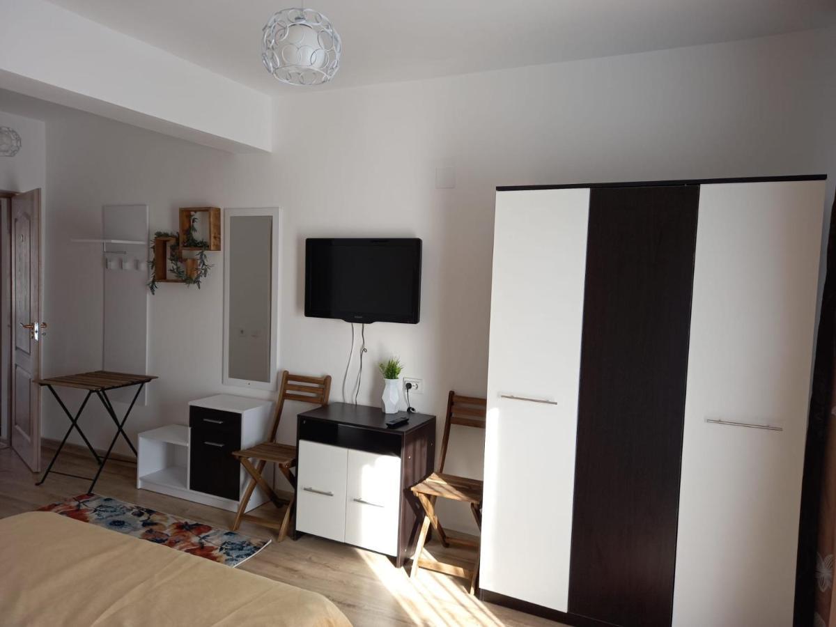 Hotel Conacul Doamnei Nucsoara Extérieur photo