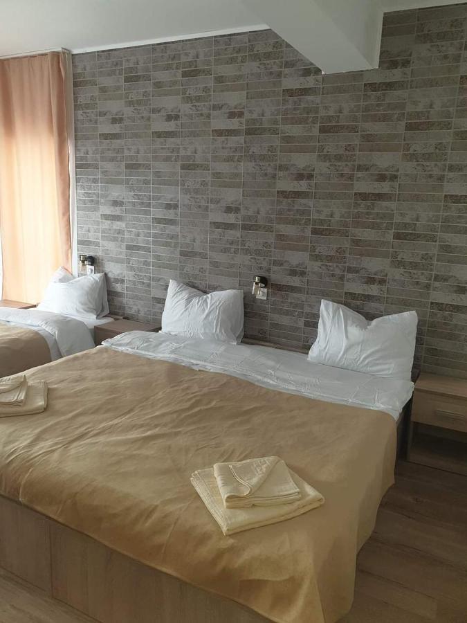 Hotel Conacul Doamnei Nucsoara Extérieur photo