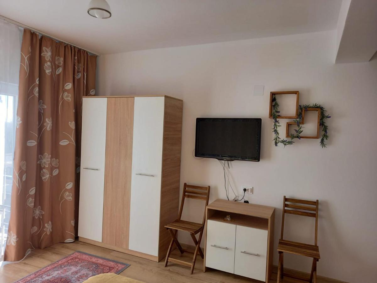Hotel Conacul Doamnei Nucsoara Extérieur photo