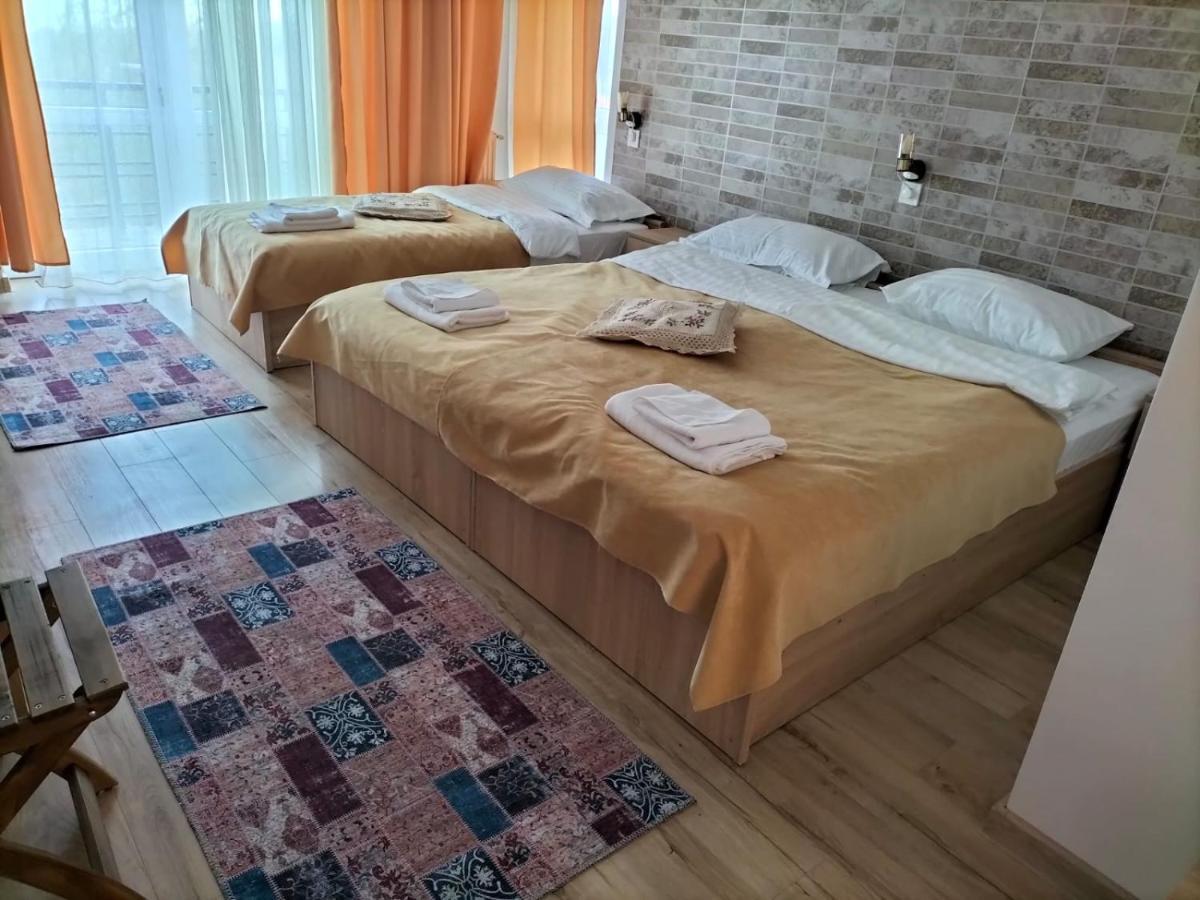Hotel Conacul Doamnei Nucsoara Extérieur photo