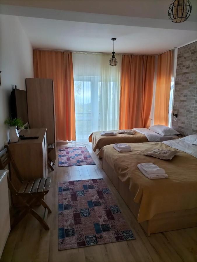 Hotel Conacul Doamnei Nucsoara Extérieur photo