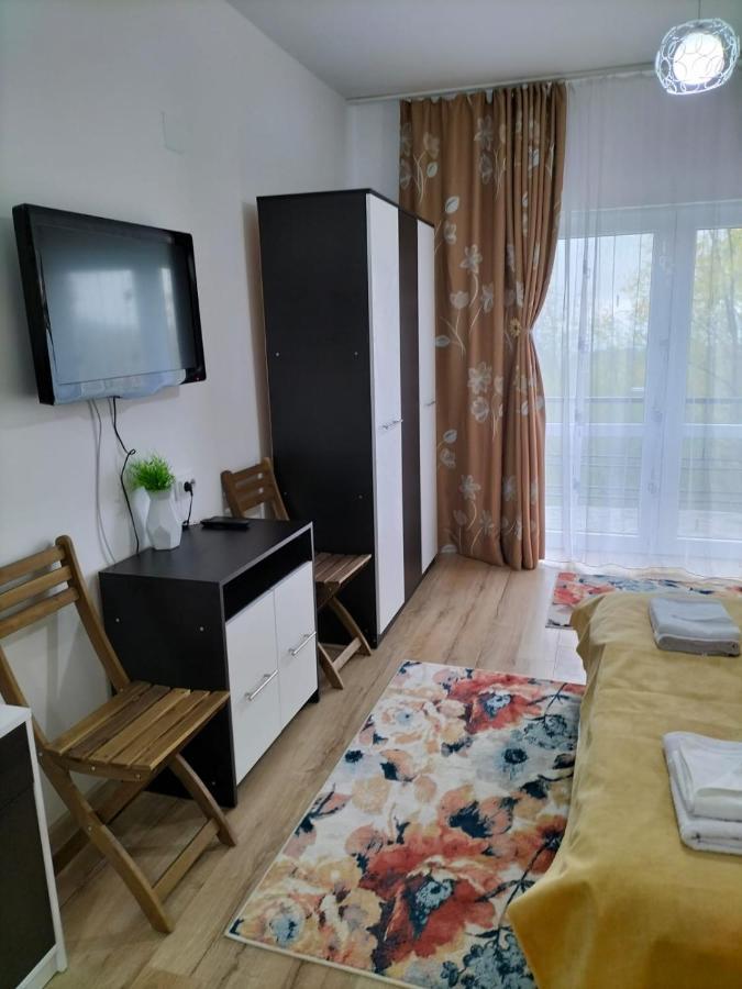 Hotel Conacul Doamnei Nucsoara Extérieur photo