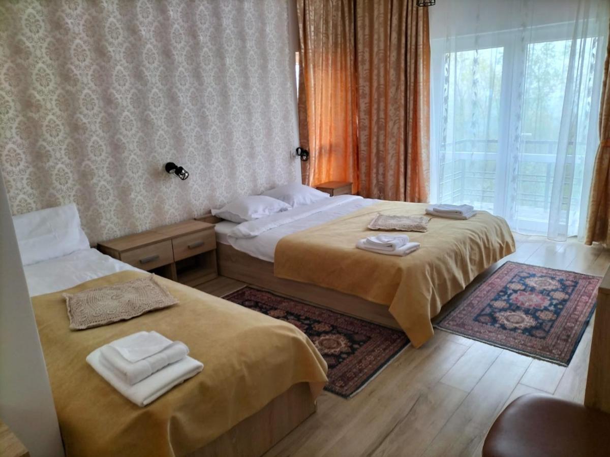 Hotel Conacul Doamnei Nucsoara Extérieur photo