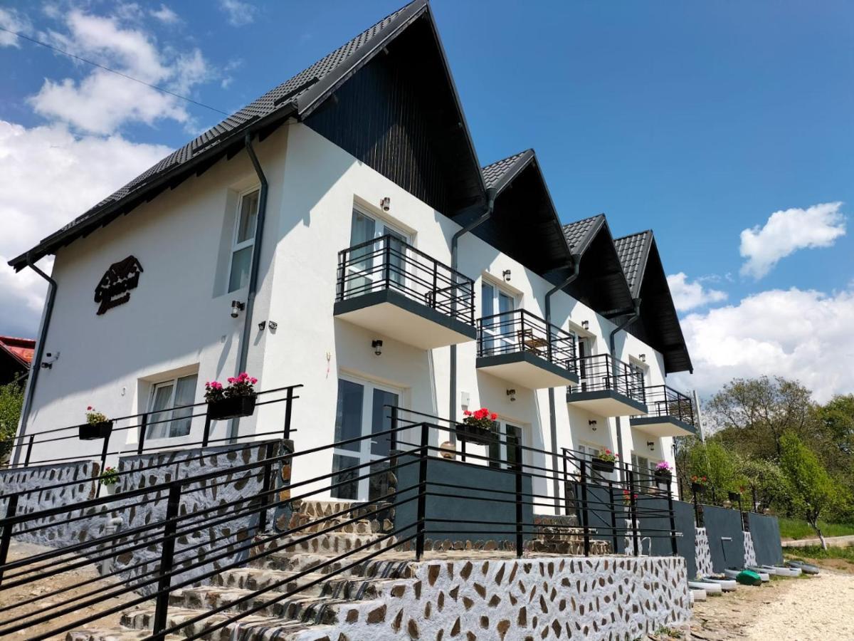 Hotel Conacul Doamnei Nucsoara Extérieur photo