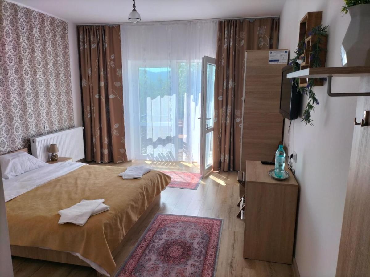 Hotel Conacul Doamnei Nucsoara Extérieur photo