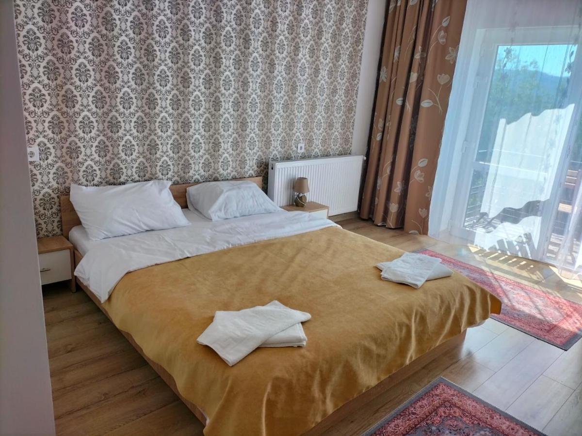 Hotel Conacul Doamnei Nucsoara Extérieur photo