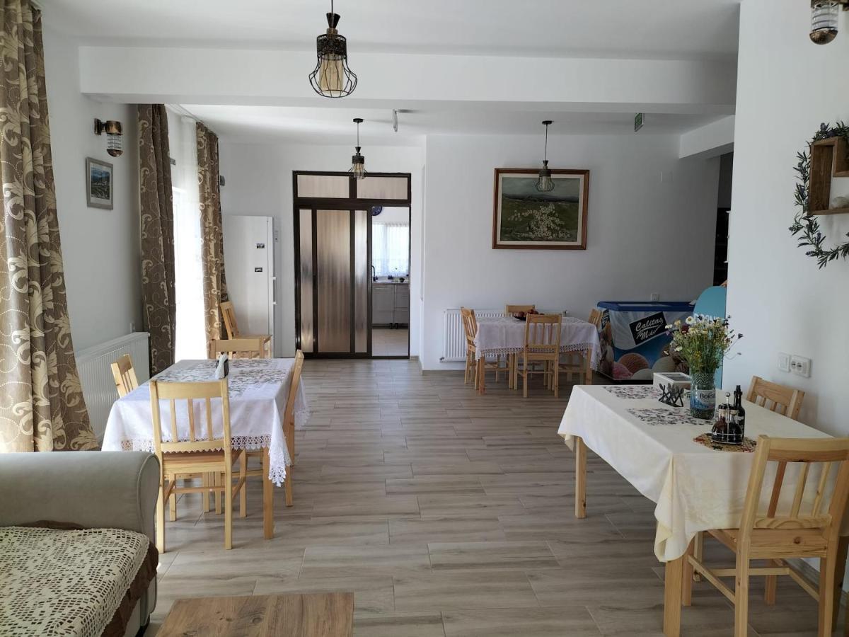 Hotel Conacul Doamnei Nucsoara Extérieur photo