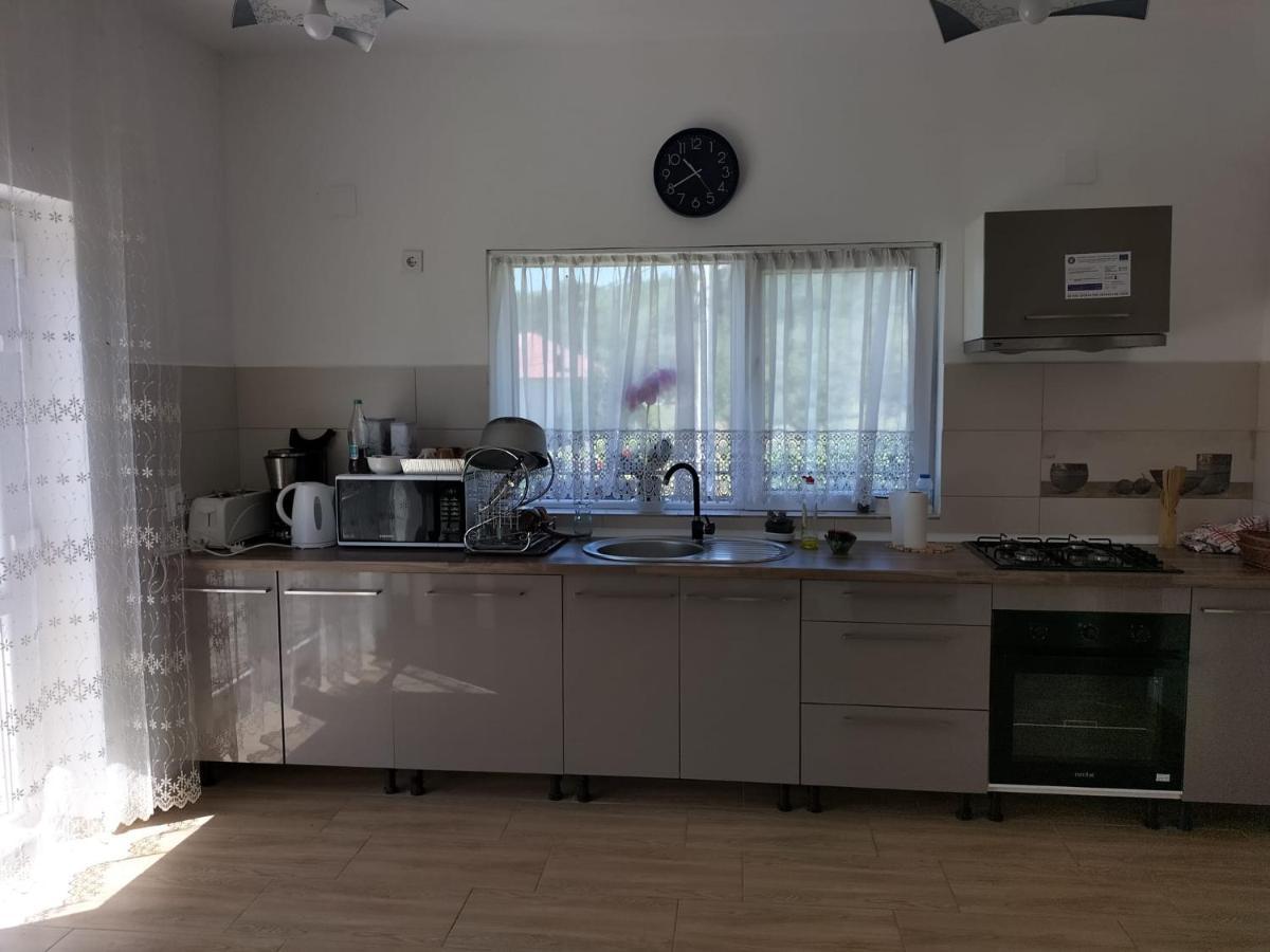 Hotel Conacul Doamnei Nucsoara Extérieur photo