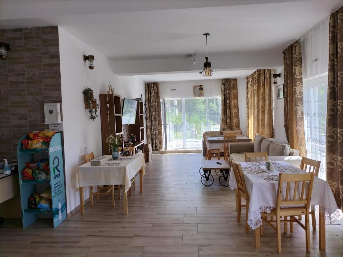 Hotel Conacul Doamnei Nucsoara Extérieur photo