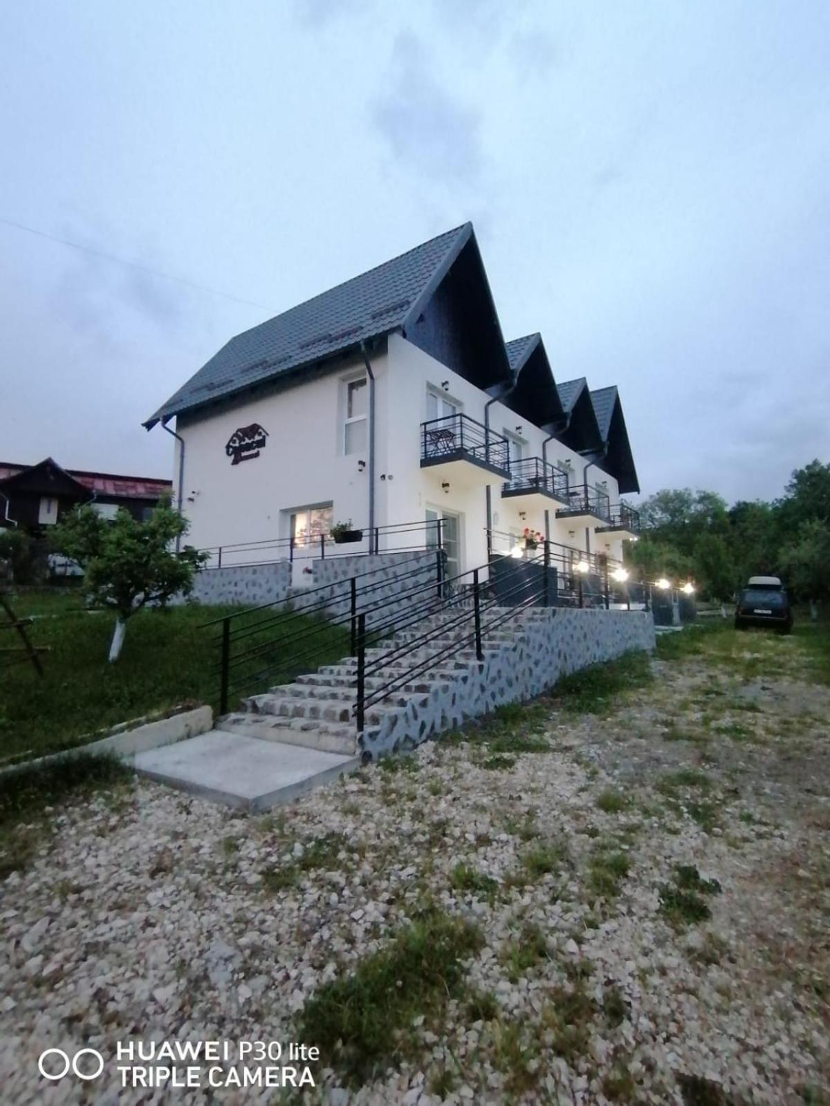 Hotel Conacul Doamnei Nucsoara Extérieur photo
