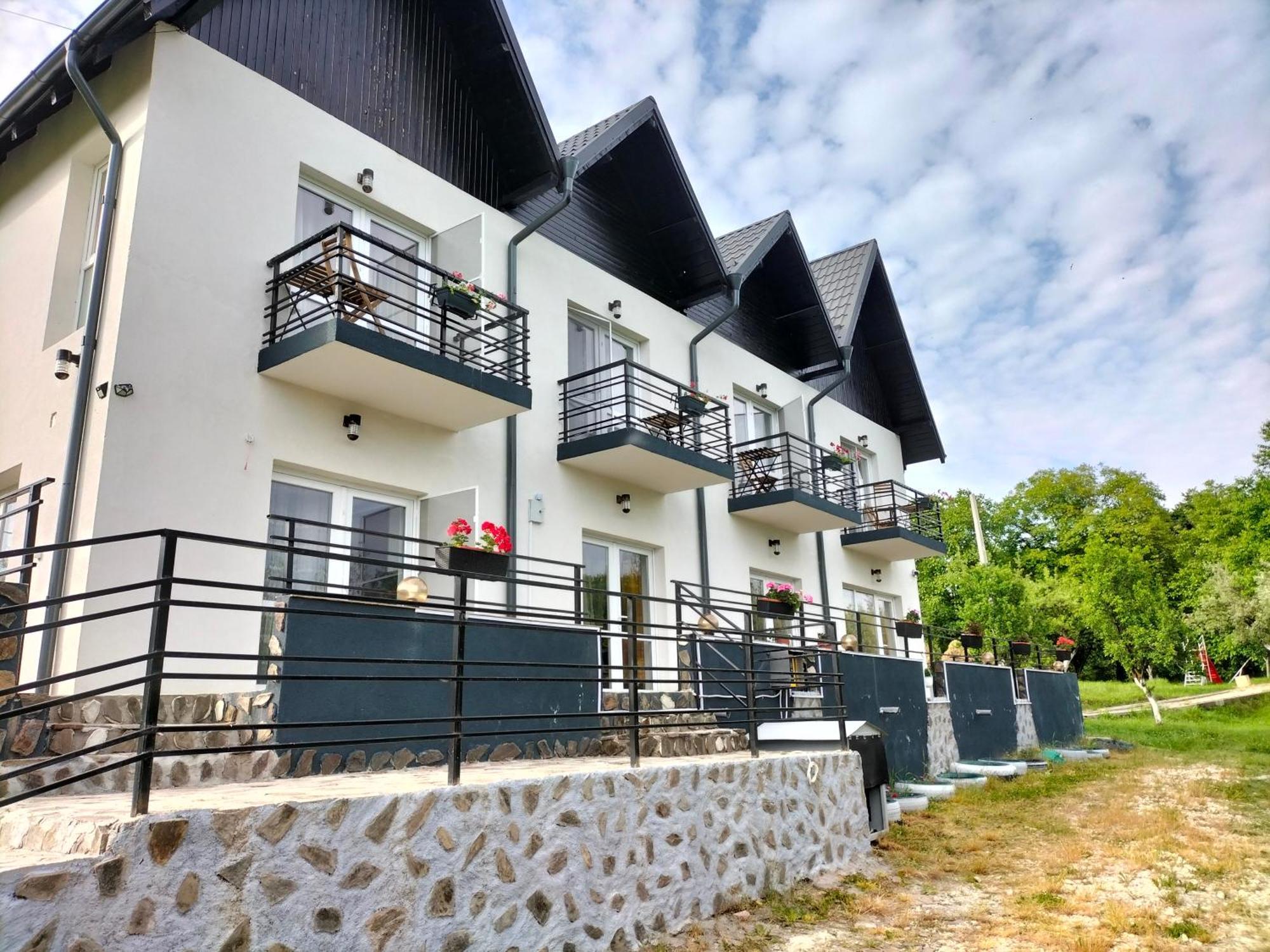 Hotel Conacul Doamnei Nucsoara Extérieur photo